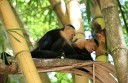 Curu National Wildlife Refuge